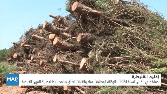 الوكالة الوطنية للمياه والغابات تطلق برنامجا رائدا لعصرنة المهن الغابوية