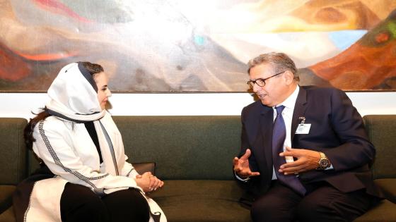 اخنوش يتباحث مع الأمينة العامة لمنظمة التعاون الرقمي”المغرب الرقمي 2030″