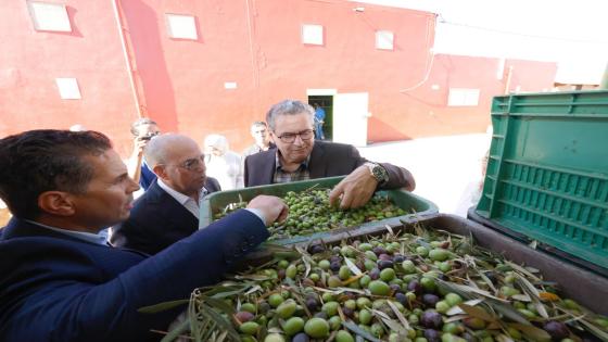 اخنوش في زيارة لتعاونية نموذجية لزيتون
