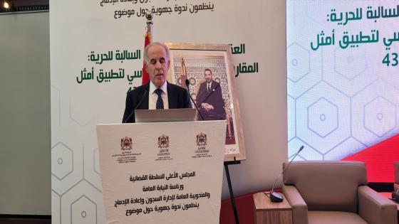 الاستاذ هشام البلاوي رئيس النيابة العامة وتنزيل العقوبات البديلة