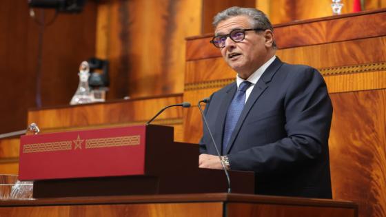 أخنوش: الإرادة الملكية السامية تروم جعل الصحراء المغربية مفتاحا للتنمية المندمجة وقاطرة للريادة الإفريقية