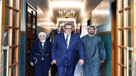 مكافحة غسل الأموال والارهاب..اخنوش يترأس اجتماعا مع وفد من مسؤولي مجموعة العمل المالي لمنطقة الشرق الأوسط وشمال إفريقيا