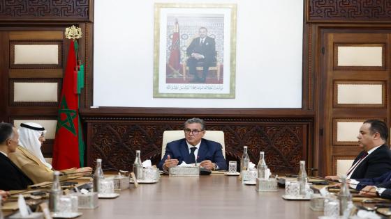 اخنوش يستقبل ممثلي المستثمرين الوطنيين والدوليين الذين تم انتقاؤهم في إطار “عرض المغرب” في مجال الهيدروجين الأخضر
