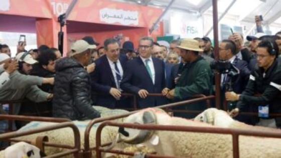 اخنوش لوزير الفلاحة والمديرين الجهويين..خاصكم اتواصلوا مع المواطنين يوميا بخصوص عيد الاضحى